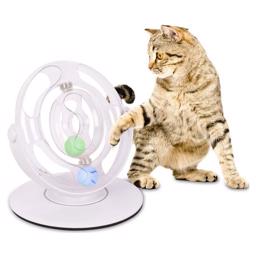 Flamingo Elektroniskt Träningshjul Som Aktivitet för Katten